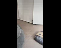 Black cat tries to crawl between door pushes crack open