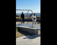 Collab IITW - Dog owners makes dog swing at park Part 1