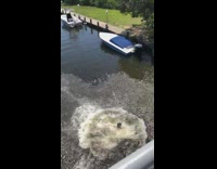Blue shorts guy front flip over railing 