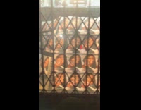 Store windows filled around with woman photos