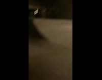 Guy falls off skateboard fail friends dog