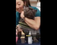 black dog getting shot eyes wide open