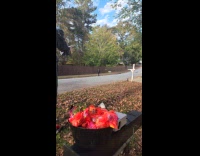 Collab Clips MPUGC - Man wearing Pennywise costume scaring kid 