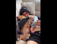 Guy sleeps with dog and newborn baby