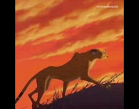 Brown pitbull lion king simba scene
