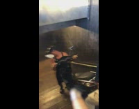 2 guys carry motorcycle down station 