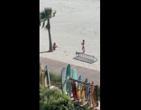 Collab IITW - Woman in bikini poses beside beach tree