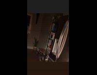 Cat does moon walk while drinking water