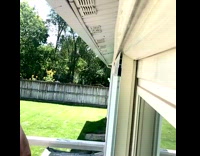 Slow motion wasp gets whipped by towel