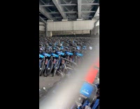 Collab WINY - Lots of citi bikes parked under bridge