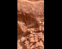 Crow flies and glide on the canyon