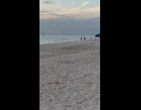 Two guys jump toe touch pose beach