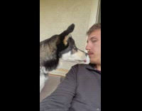 Dog takes nut from nose of guy