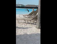 Collab IITW - Lady in Lagoon Shakes Butt for Friend