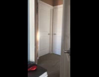 Submitter shows shadow from trees outside house