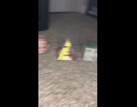 Guy shows Obama merch