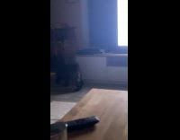 Puppy Checks Behind Television as Lizard Crawls out of Egg