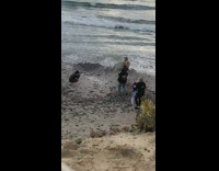 Woman yellow shirt slow run surfboard beach