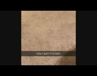 Guy hunting small spider in his house kills it with febreeze