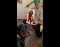 Man showing a drawing of pet dog 