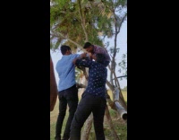 Guy in flannel falls out of short tree branch