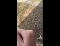 Girl offers grandpa bumblebee lets it go 