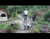 Dog follow where water is being sprayed