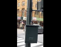 Pigeon messily eats bread on traffic light box