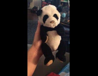 Old panda stuffed toy pressed moves loudly