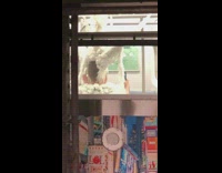 Guy with white pointy headpiece and costume takes selfie on train 