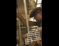 Man wide brim hat plays harp on subway train