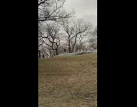 Park music video guy old plaid coat