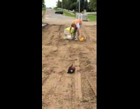 Construction workers try to catch helmets with head