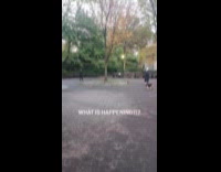 Couple circling around tree at park 