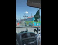 Dog with head out of mystery machine scooby doo van