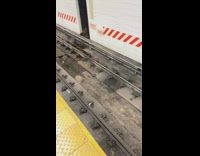 Rat Skitters Around Dirty Damp Train Tracks