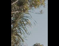 Guy does backflip into lake 