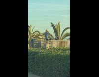 Asian girl dance guy straw hat 