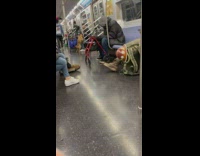 Dog humps owners leg on the subway 