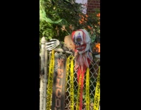 Squirrel tugging on halloween mas decor on fence 
