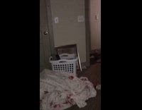 Kitten gets ball jumps on laundry basket