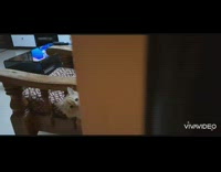 Guy peeks at brown kitten laying chair