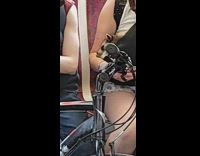 Person sitting on subway train with a sleeping raccoon