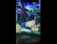 Man draws elephant baddie at arte museum