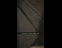 Dog drops random piece of bread it found 