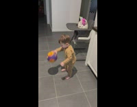 1 year old boy with amazing basketball skills 