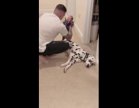 Dad annoying dog on floor with baby