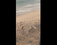 Three woman bikini dance tiktok sunset beach Part 1