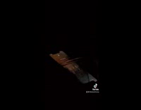 Collab BitchMP - Phone typing by itself guy asleep