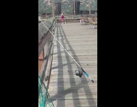 Woman pink bikini superman pose beach dock